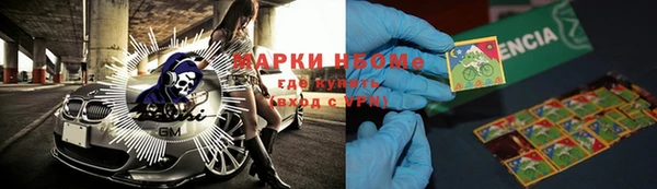 хмурый Няндома