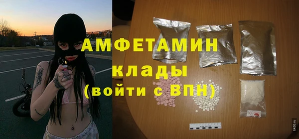 соль ск Болотное