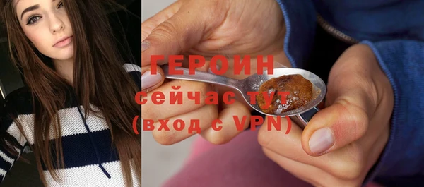 хмурый Няндома