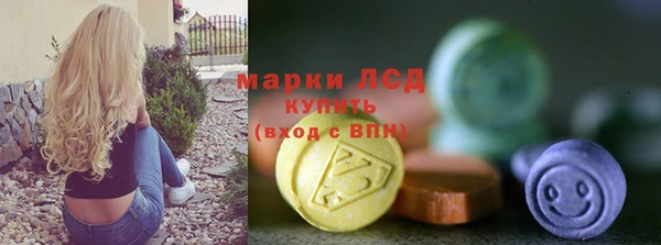 хмурый Няндома