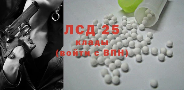 хмурый Няндома