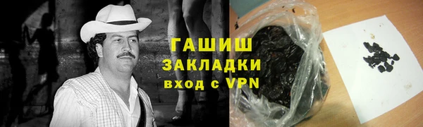 хмурый Няндома