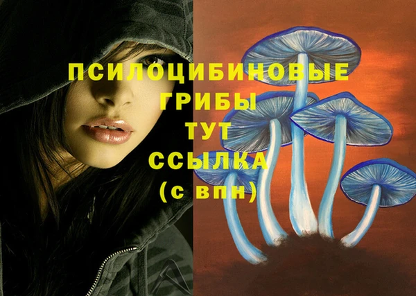 хмурый Няндома