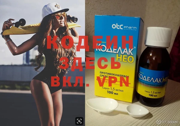хмурый Няндома