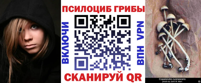 mega маркетплейс  мориарти наркотические препараты  Галлюциногенные грибы GOLDEN TEACHER  Балей 